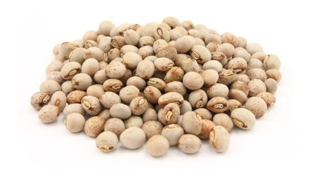 whatsapp image 2025 12 05 at 11.56.05 d28cf85b